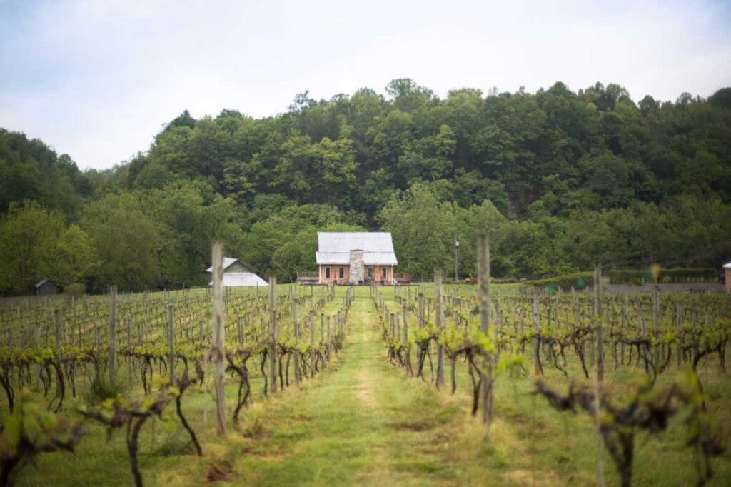 Iron Heart Winery Food & Wine Walking Tour Visit Virginia Travel