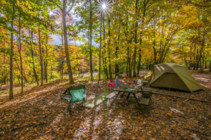 Autumn Campsite scene. All you have to do to enjoy the fall colors at Grayson Highlands State Park in Virginia is sit down at your campsite.