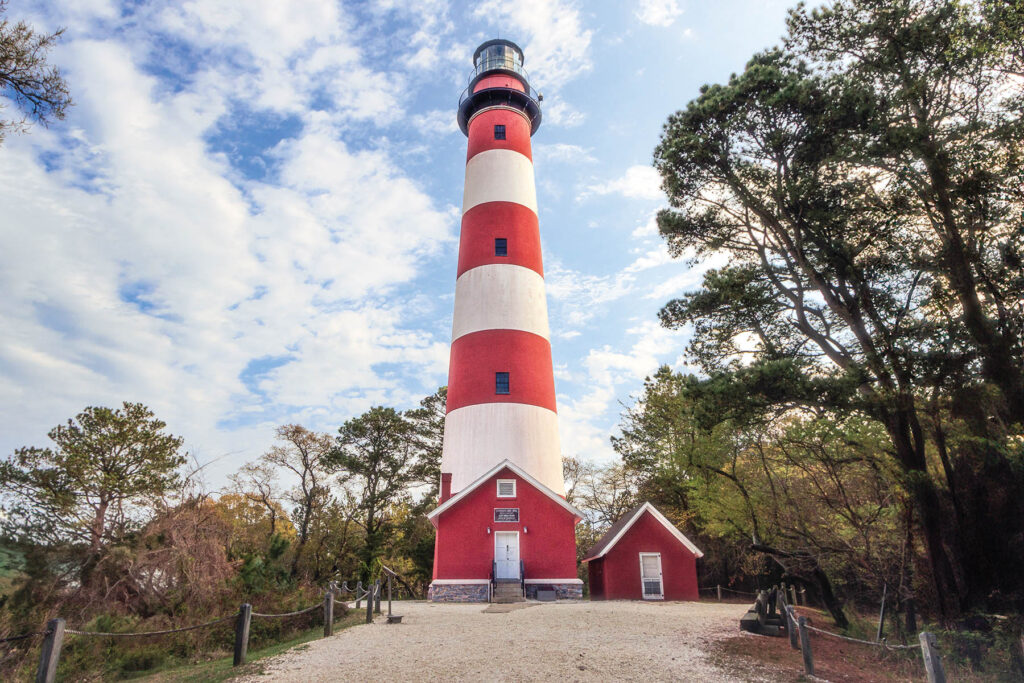 The Assateague Island Lighthouse in Chesapeake, Virginia, stands tall among a clearing of trees on the island